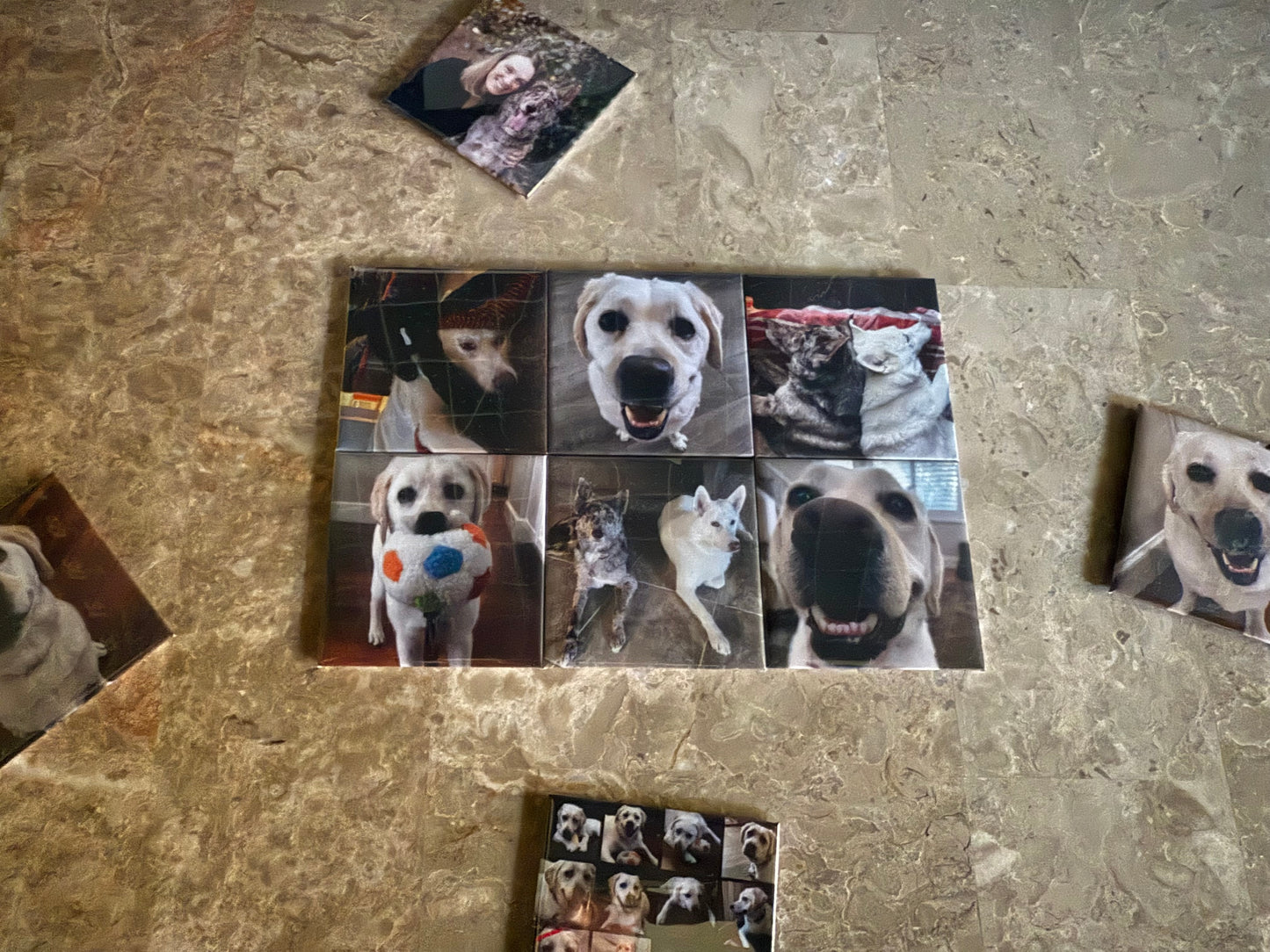 Set of 6 Custom Magnets