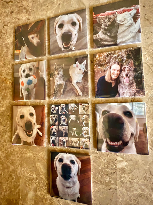 Set of 6 Custom Magnets